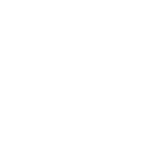 Icon Bot White